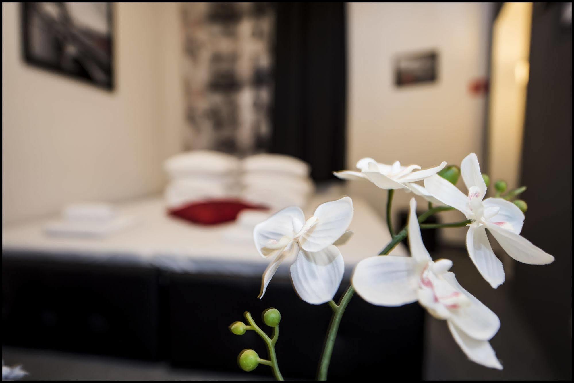Apartament Z Jacuzzi Krakow Rynek المظهر الخارجي الصورة